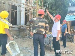 仅无效填补了下层监管力量和专业手艺的不脚