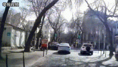 美国总统特朗普正取乌克兰总统泽连斯基